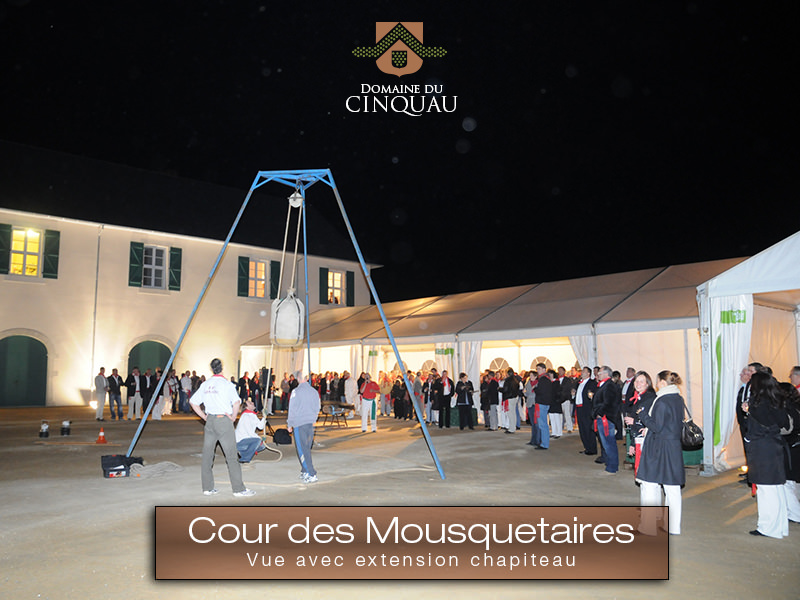 Domaine du Cinquau_64230 ARTIGUELOUVE_21